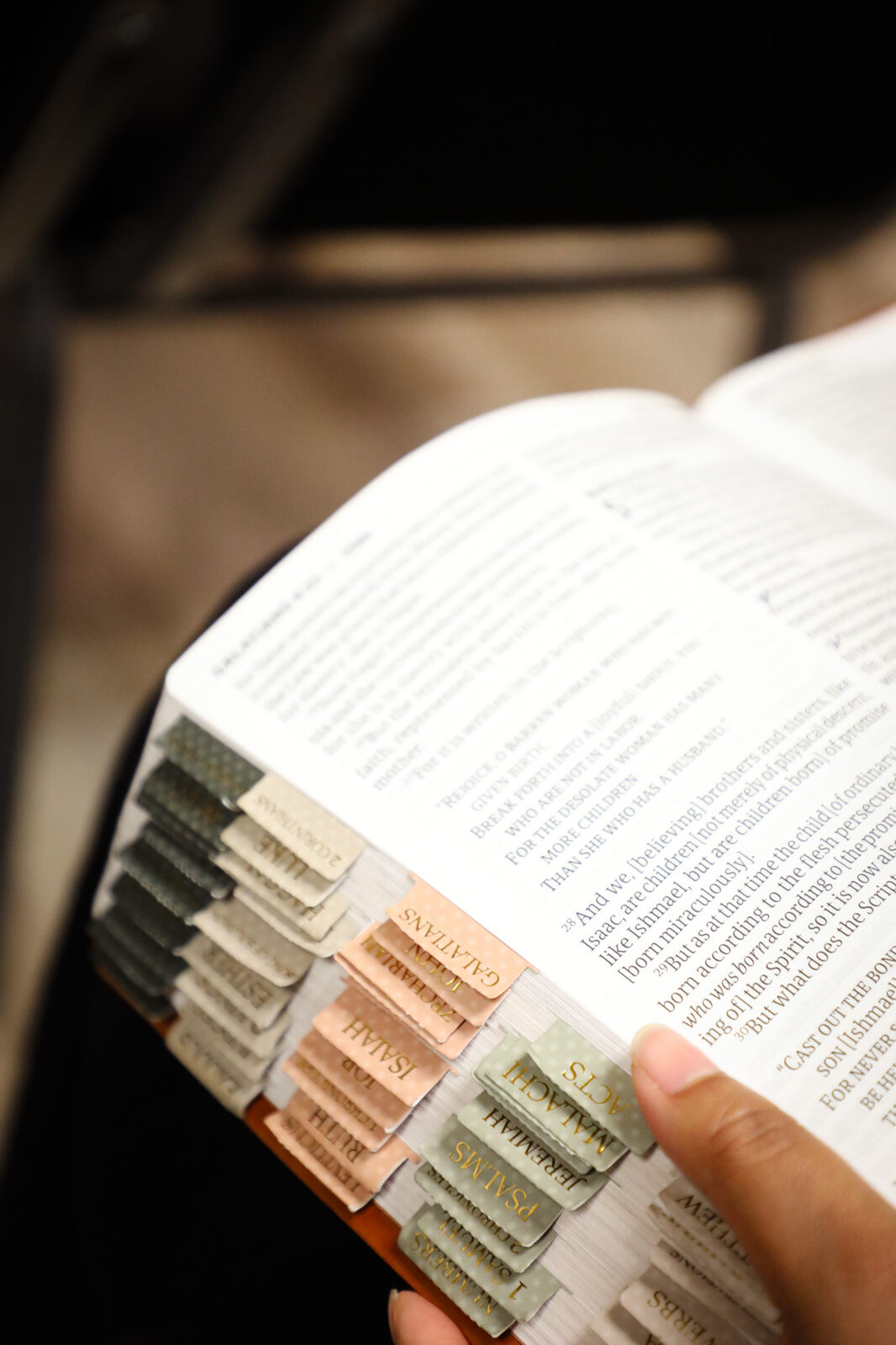 Hands holding an open, well-marked Bible